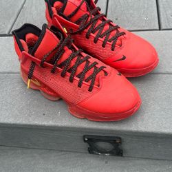 LeBron Shoes Size 9