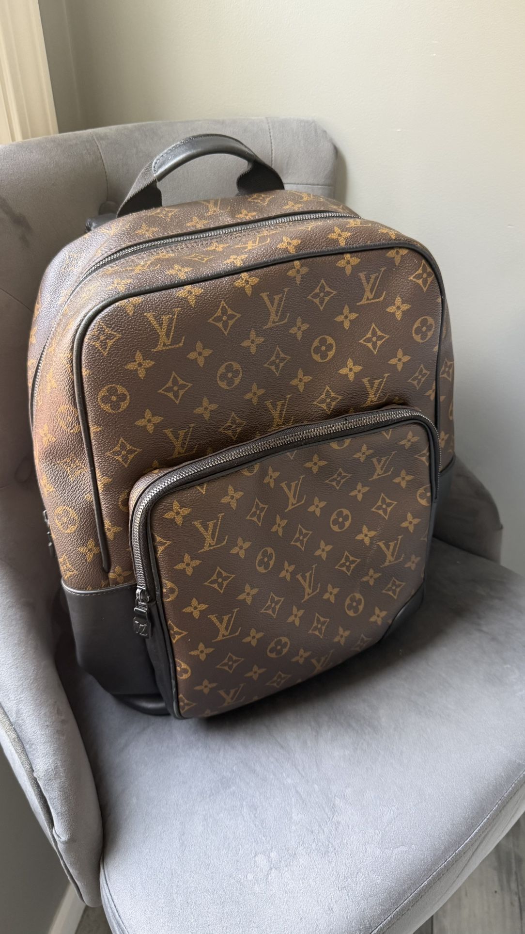 Louis Vuitton Back Pack