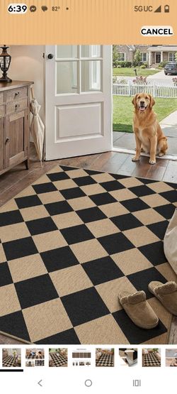 NEW 4 X 6 AREA RUG