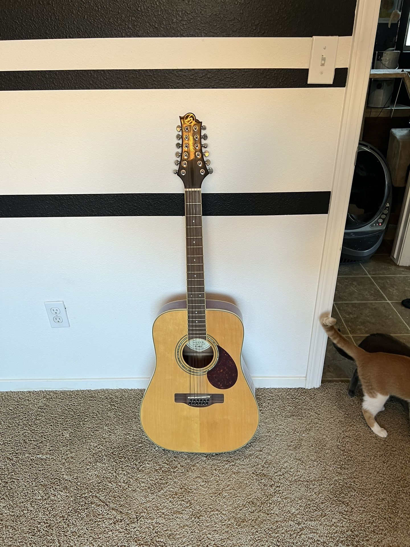 Samick 12 String Guitar