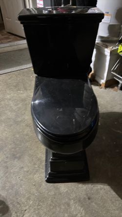 Pegasus Black Elongated Toilet