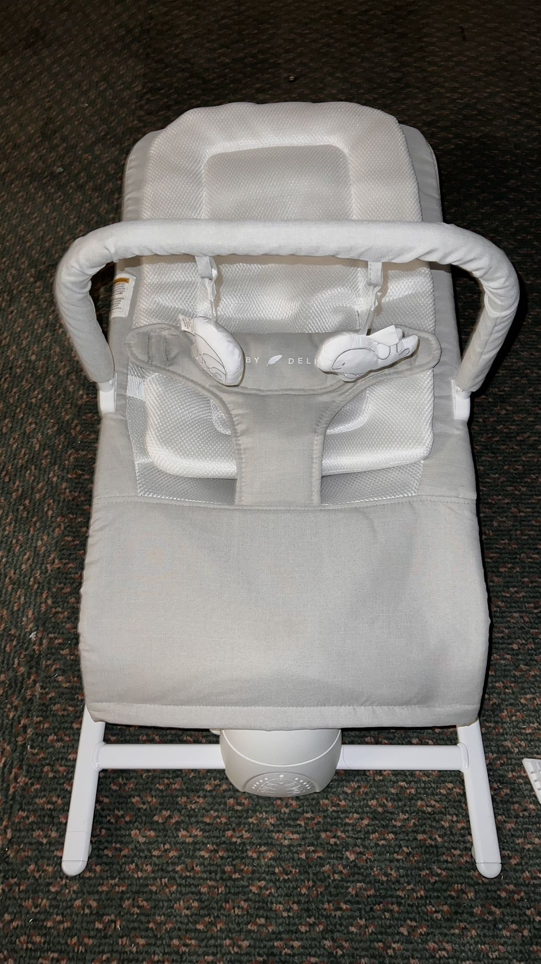 Baby Delight Bouncer 