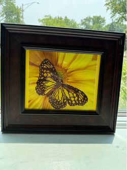 Butterfly diamond dot painting picture