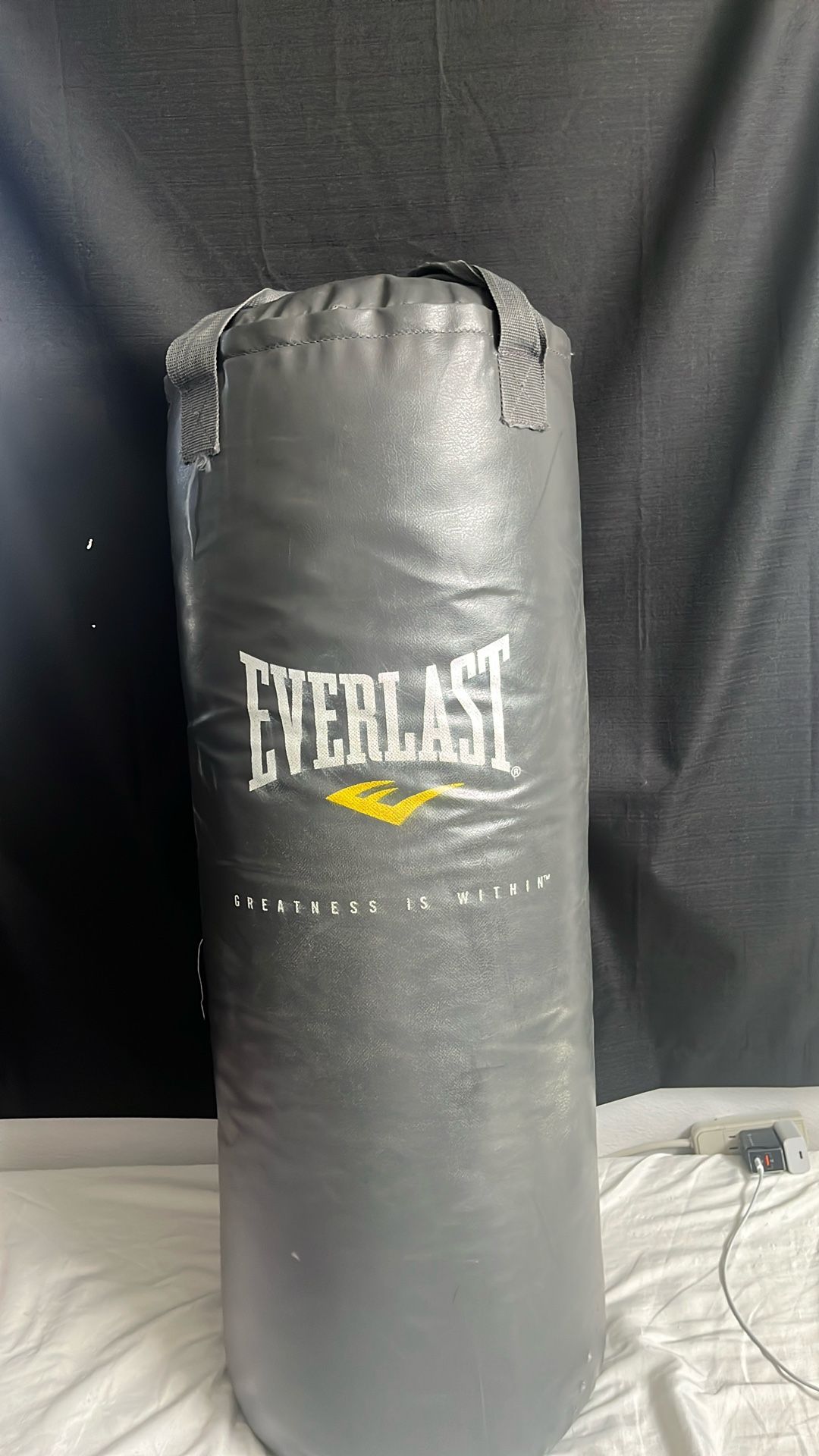 Everlast Punching Bag