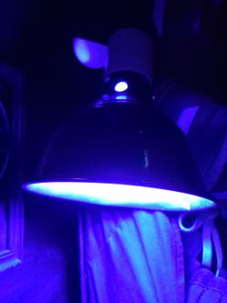 Terrarium/aquarium Night Uv Light W Bulb