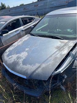 Hood 2005 Acura TSX gray