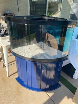 55 gallon aquarium