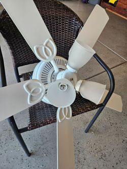 Fan