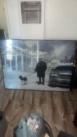Beautiful Drake Wall Portrait