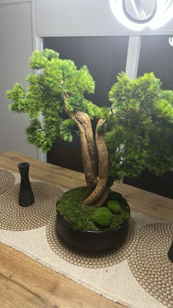 Bonsai Artificial