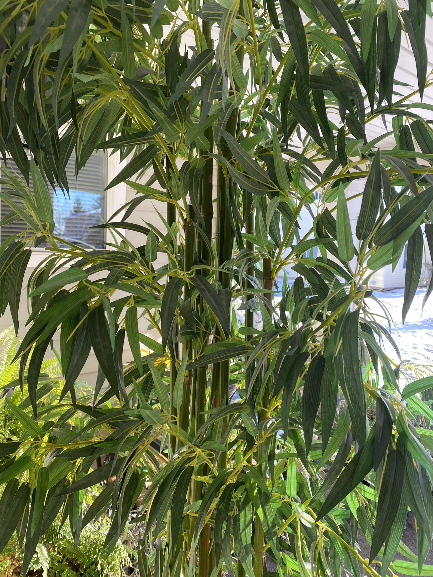 Delux, 10 Real Stems Bamboo With Silk Leaves (Pending)