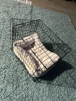 Medium cage with new bed