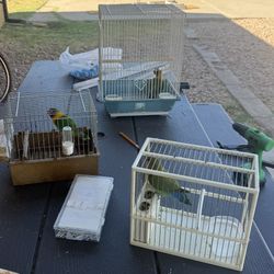 Jaulas De Madera Y Alambre Y Aves 