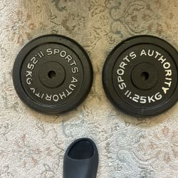 Two 25 Lbs  Sports Authority Weights 