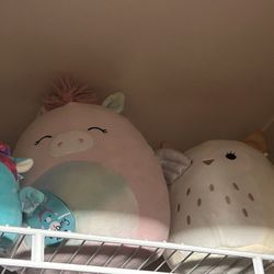 Toys/ Stuffed Animals 