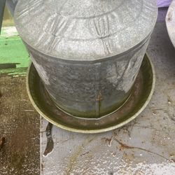 Chicken Water 