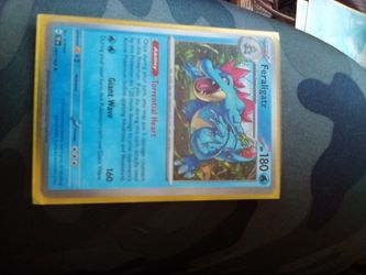 Feraligatr 041/162