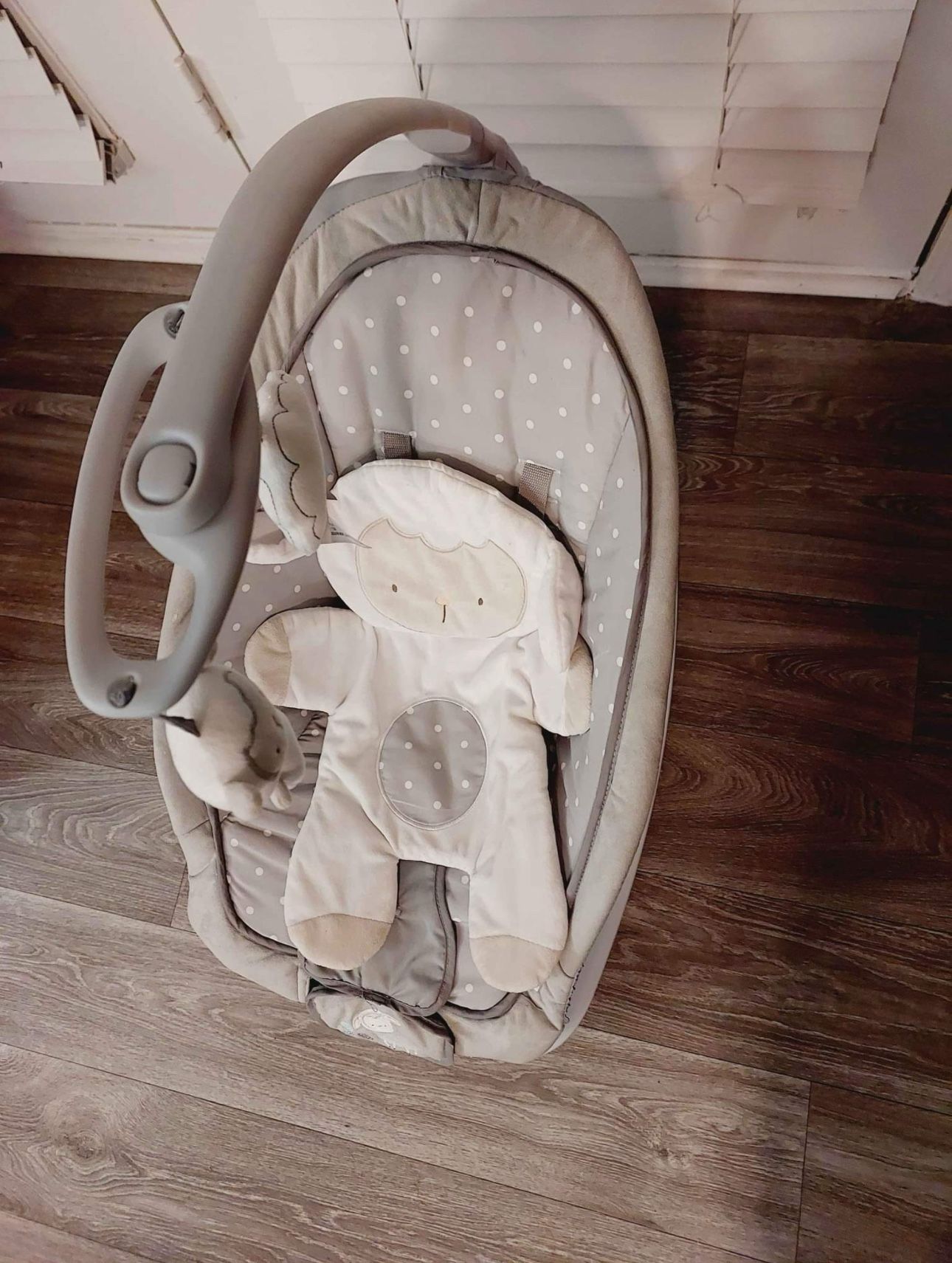 Baby Bouncer 