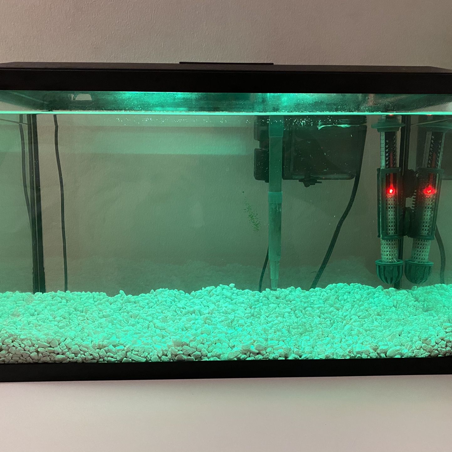 Fish Tank 10 Gallons