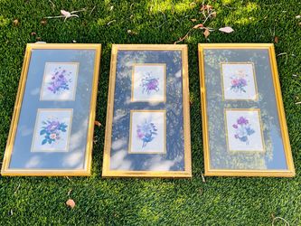 Set of 3 Vintage Framed Botanical Floral Prints Cottagecore style