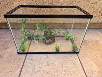 5 Gallon Fish Tank with Decorations