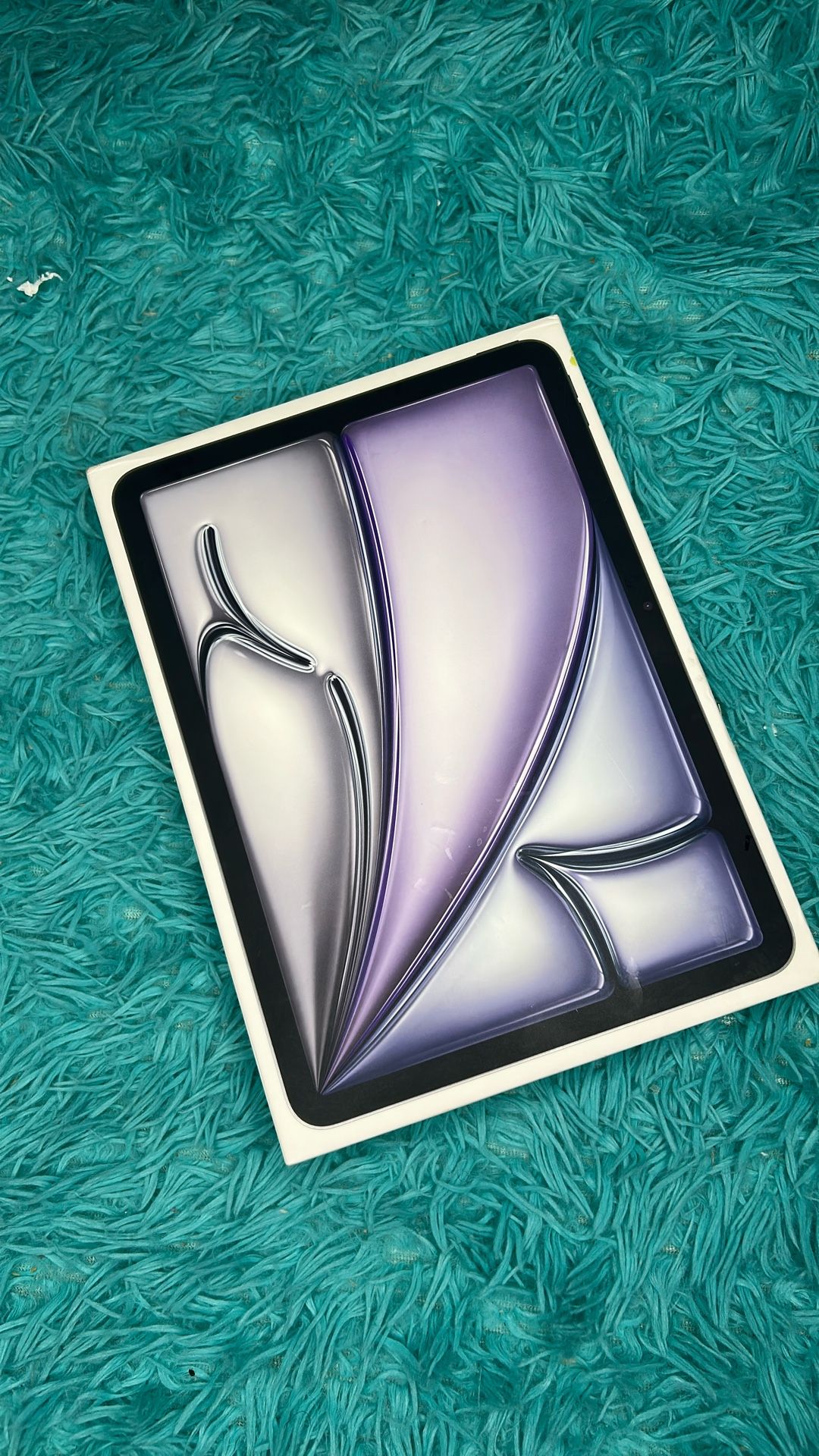 iPad