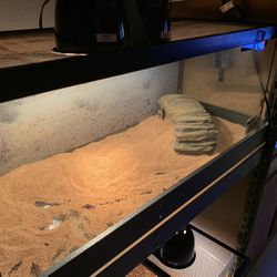 20 gallon long tank and light stand and dome