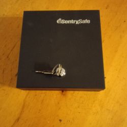 Sentry Safe Lock Box 
