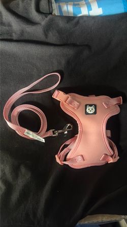 Cat Harness and Leash Set