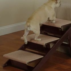 Dog Stairs/Ramp