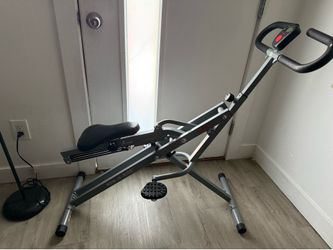 Sunny Row-N-Ride Squat & Row Total Body Trainer w/ Monitor, Gray/Black