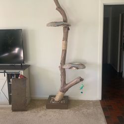 Driftwood Cat Tree 