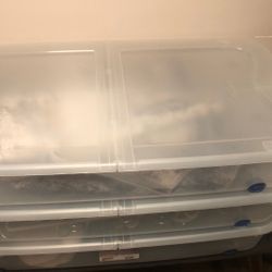Sterilite Storage Boxes