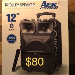 12” Aek CyBer Bluetooth Rechargable Party Speaker With Microphone And Led Display Lights 🎤🎶🔊🔊