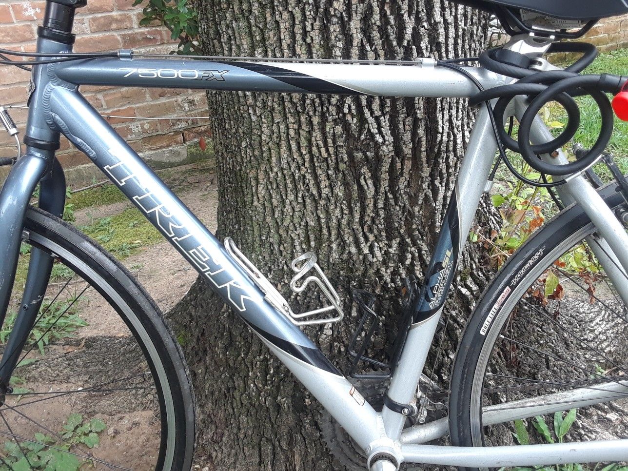 Trek 7500 2024 alpha aluminum