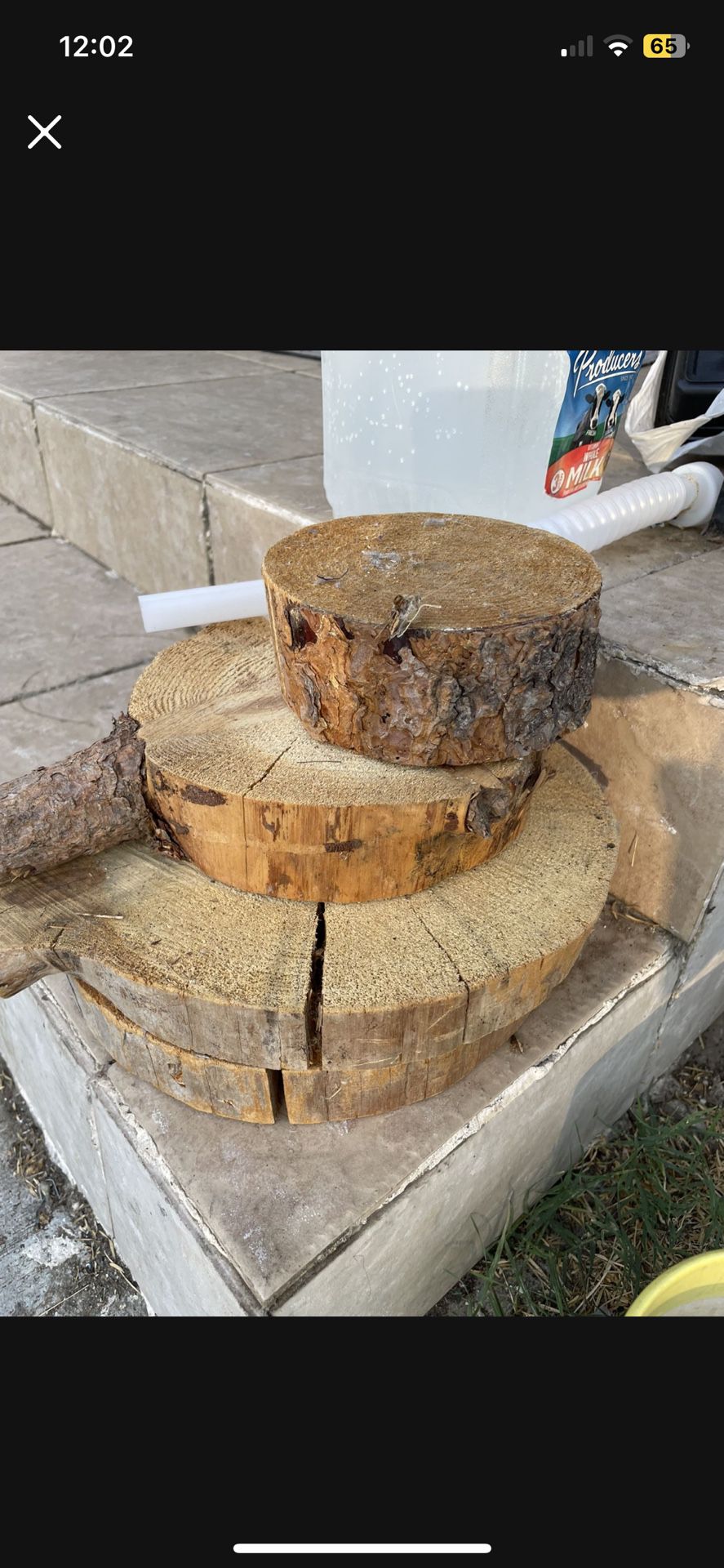 Wood Slices Log Slices 