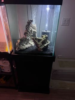 Fish tank 40 gallons