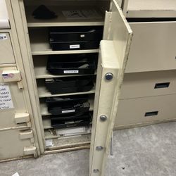 Gun  & Ammo Safe