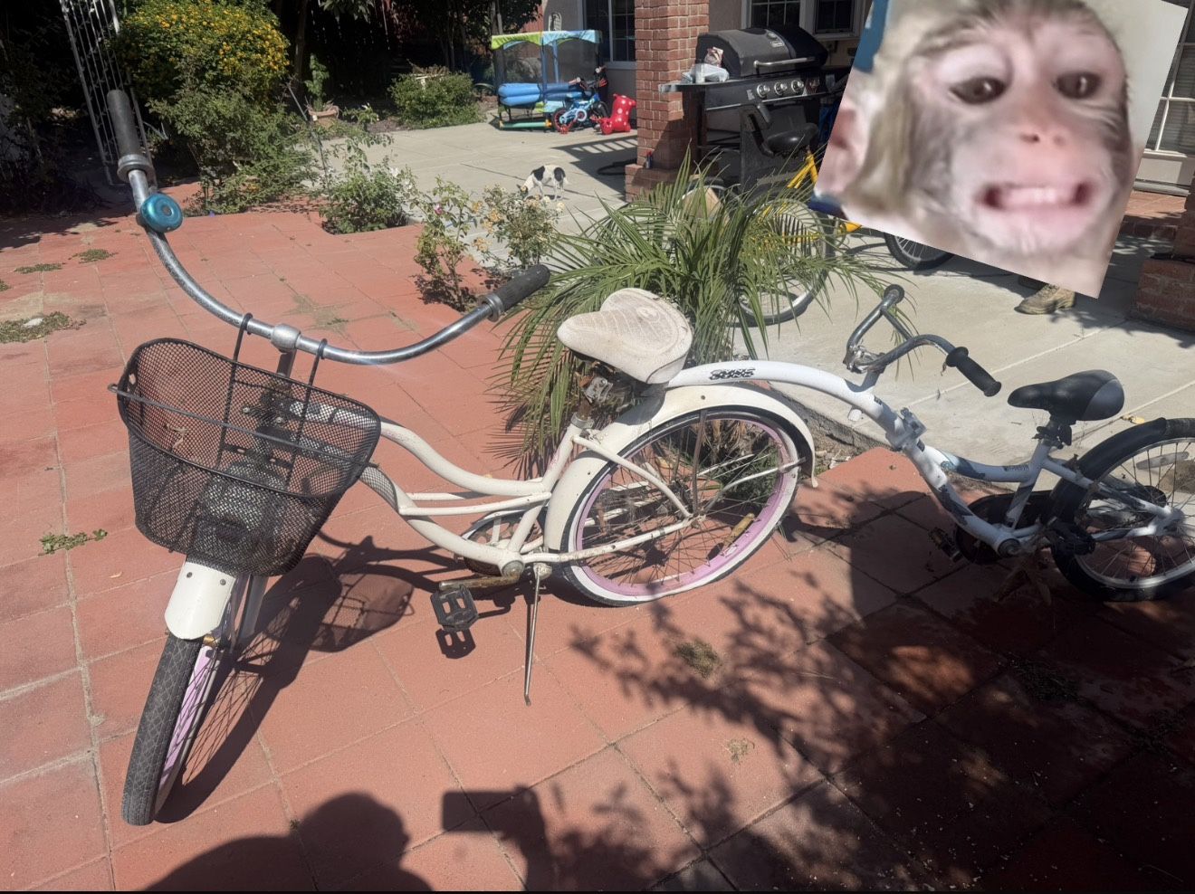 Bike