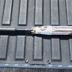 Fast Pitch Softball Bat 