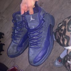Deep Royal Jordan 12s