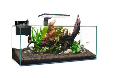 Imagitarium Shallow Glass Shrimp & Aquatic Plants Aquarium, 6.8 Gallons