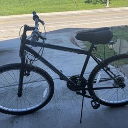 Roadmaster Men’s Bike