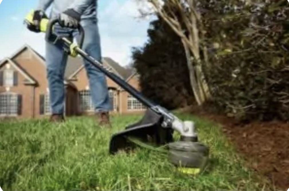 Yard Clean Ups
