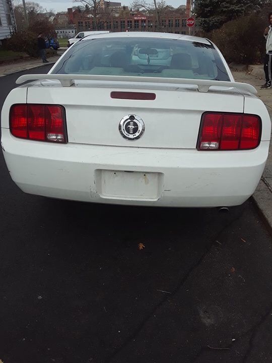 05 mustang