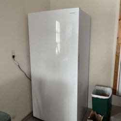 Large Freezer 22 Cubic Feet