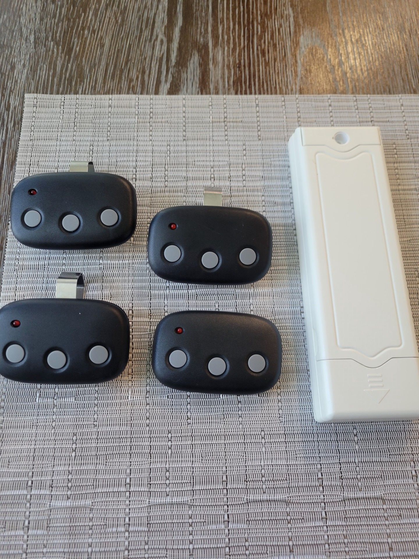 Garage Door Keypad and Remote Opener