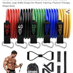 Work Out Bands 