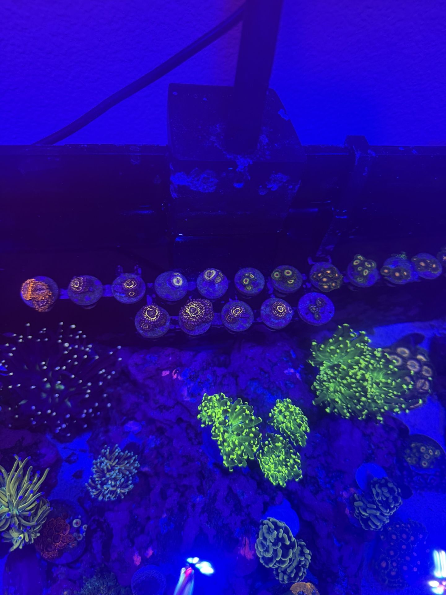 Saltwater aquarium reef plastic decorations