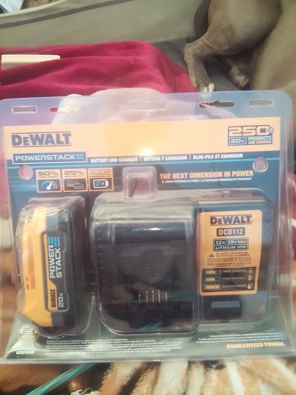 Brand New DeWalt Battery And Charger